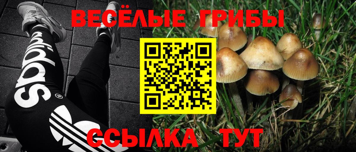 Псилоцибиновые грибы Magic Shrooms Темрюк