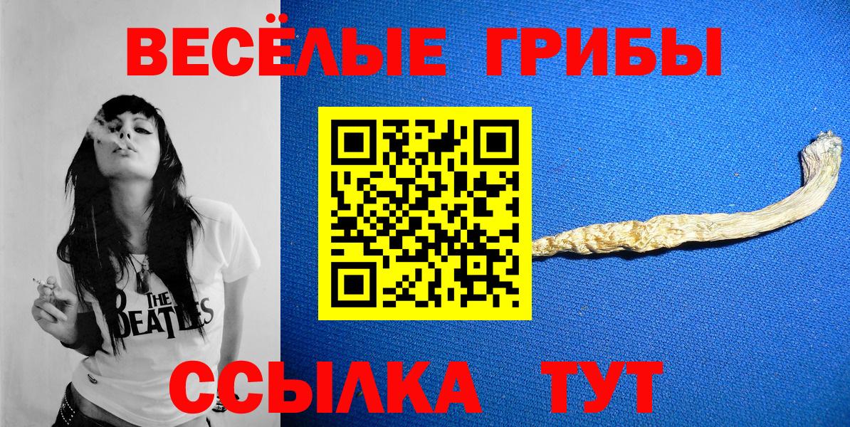 Темрюк  Галлюциногенные грибы ЛСД  Вход с VPN  Галлюциногенные грибы мухоморы 